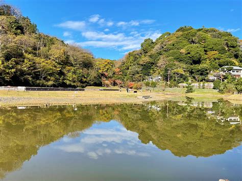 天園地方|天園 